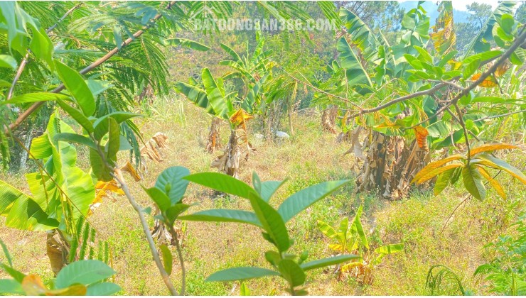 1.832m2  hẻm lớn trần quang diệu, phường 10, đà lạt